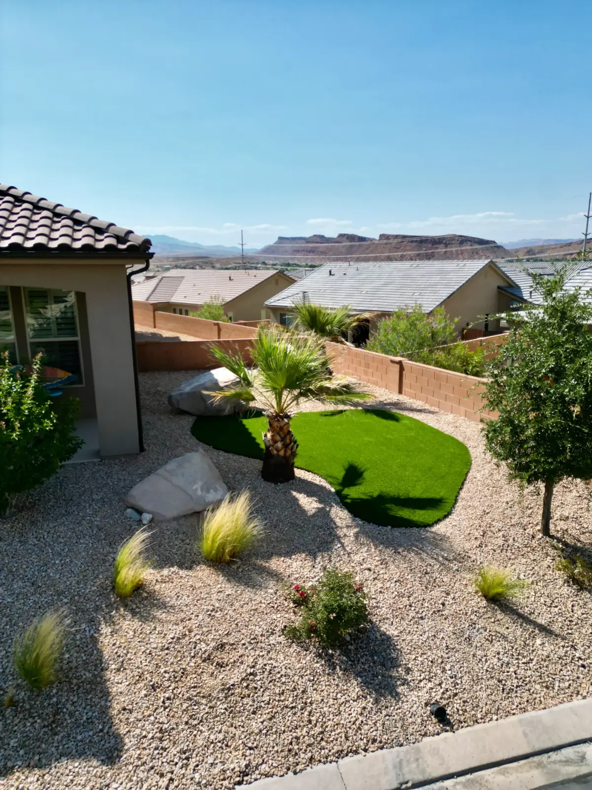 Backyard desert landscape with palm and small turf lawn