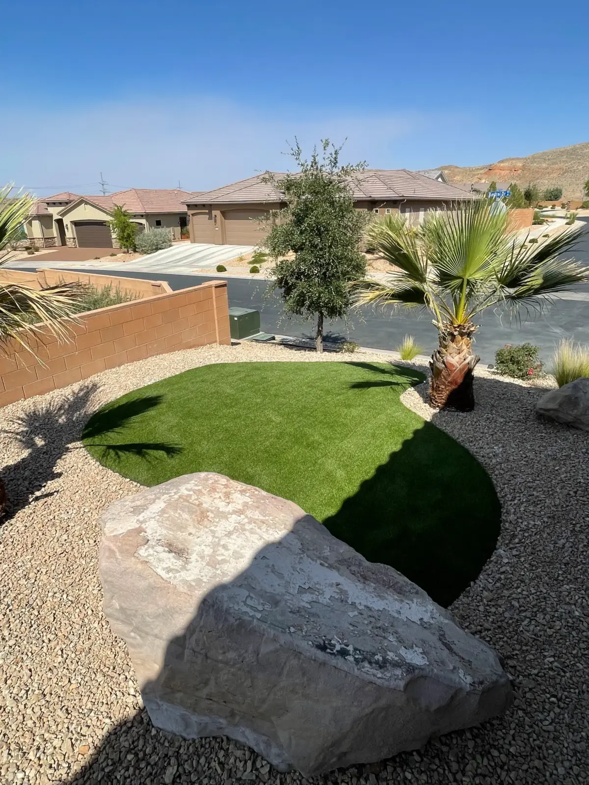 Desert landscape with palm, boulders, and gravel