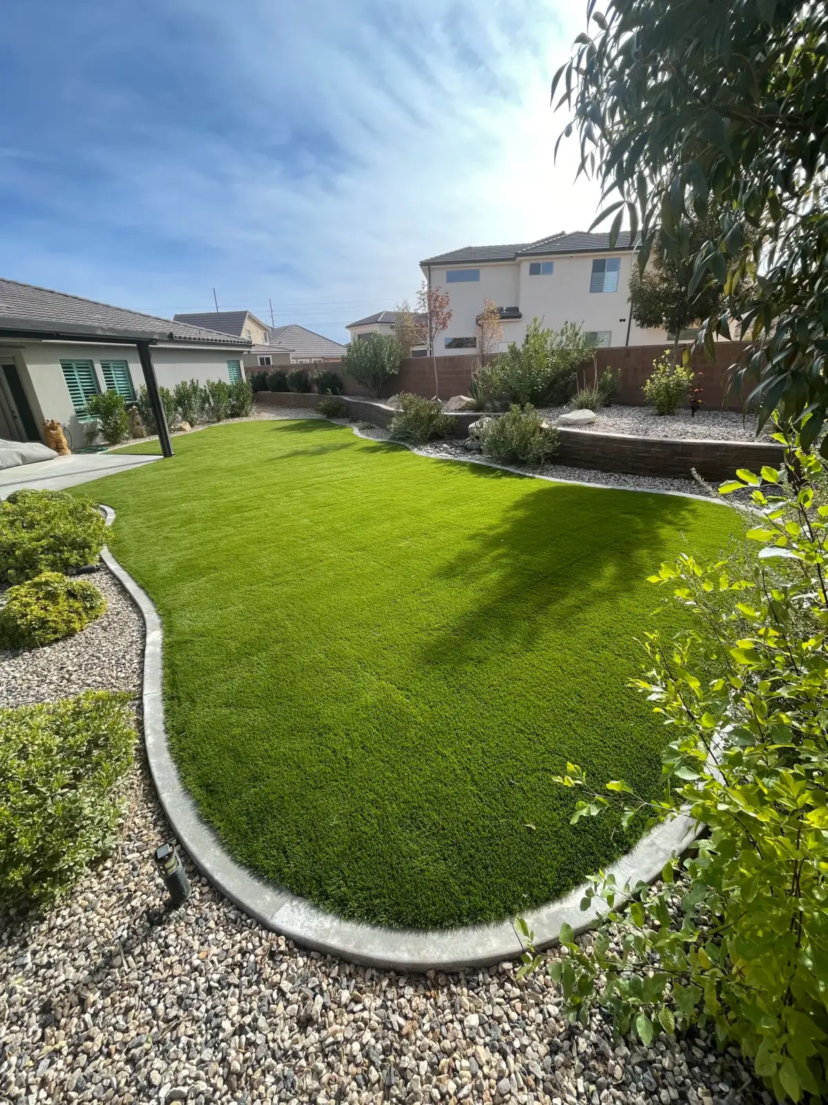 Backyard turf lawn with curved concrete curbing