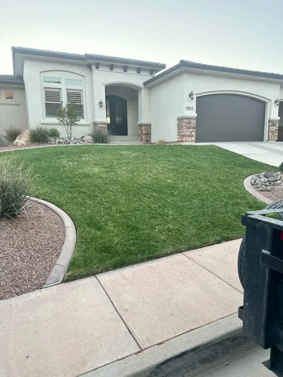 Front yard turf lawn beside a driveway