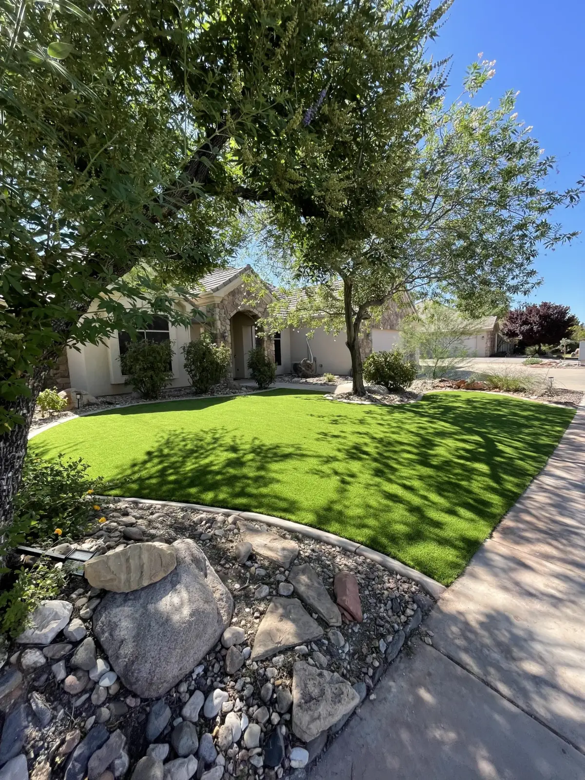 Front yard turf lawn with trees and shrubs