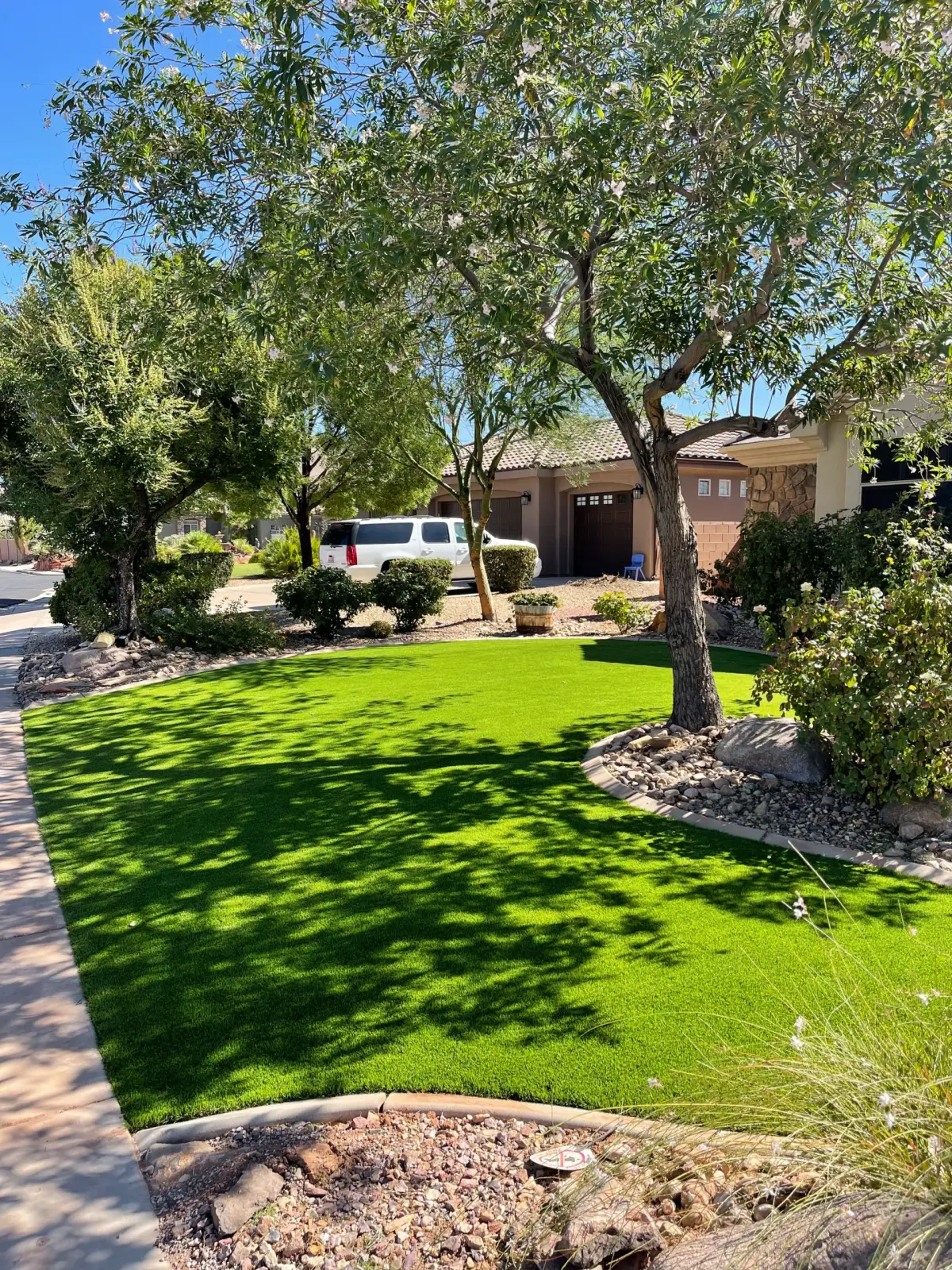 Shaded front yard turf lawn under mature trees